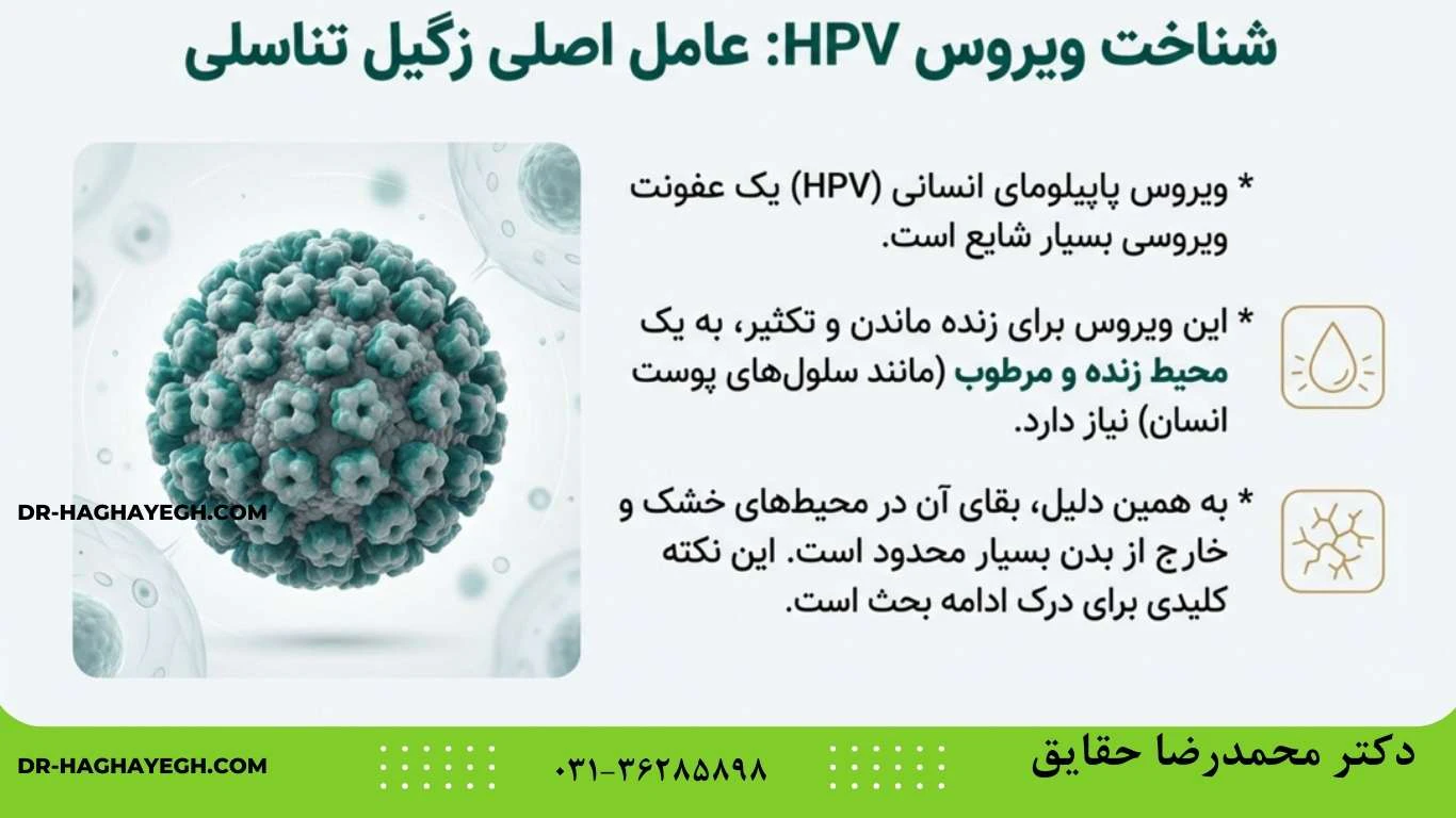 زگیل تناسلی چگونه منتقل می‌شود؟