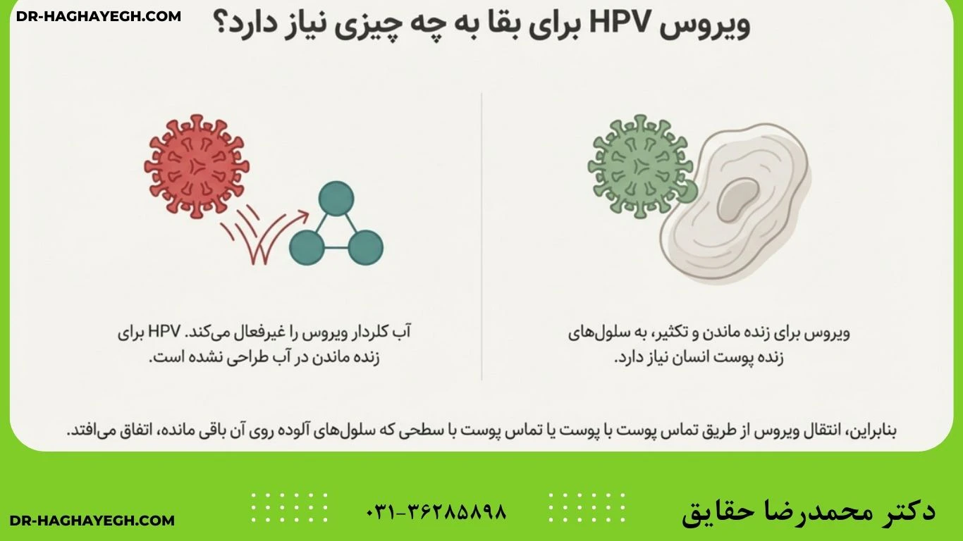 آیا انتقال HPV از طریق استخر امکان‌پذیر است؟